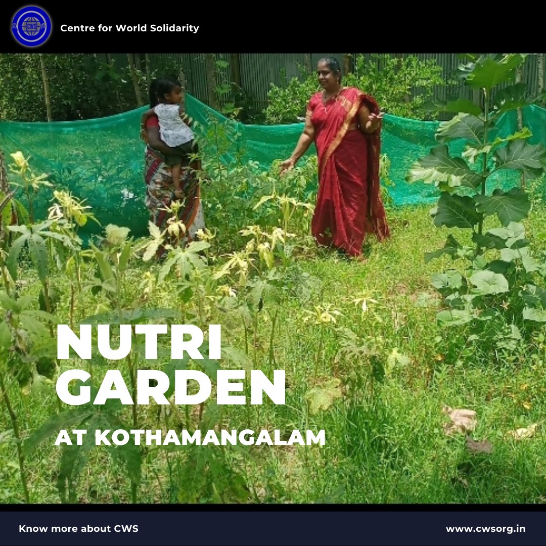 cwsngo's tweet photo. Nutri Garden at Kothamangalam
#nutrition #nutritionsecurity #nutri #nutritiongarden #nutrigarden #garden #fooddiversity #fooddiversityfriday #foodforallmovement #fooddevelopment #securethebag #securenutrition #poshandbecks #poshaan #tricolourfood🇮🇳 #foodcolours #tamilnadu https://t.co/q1p9V6mFDl