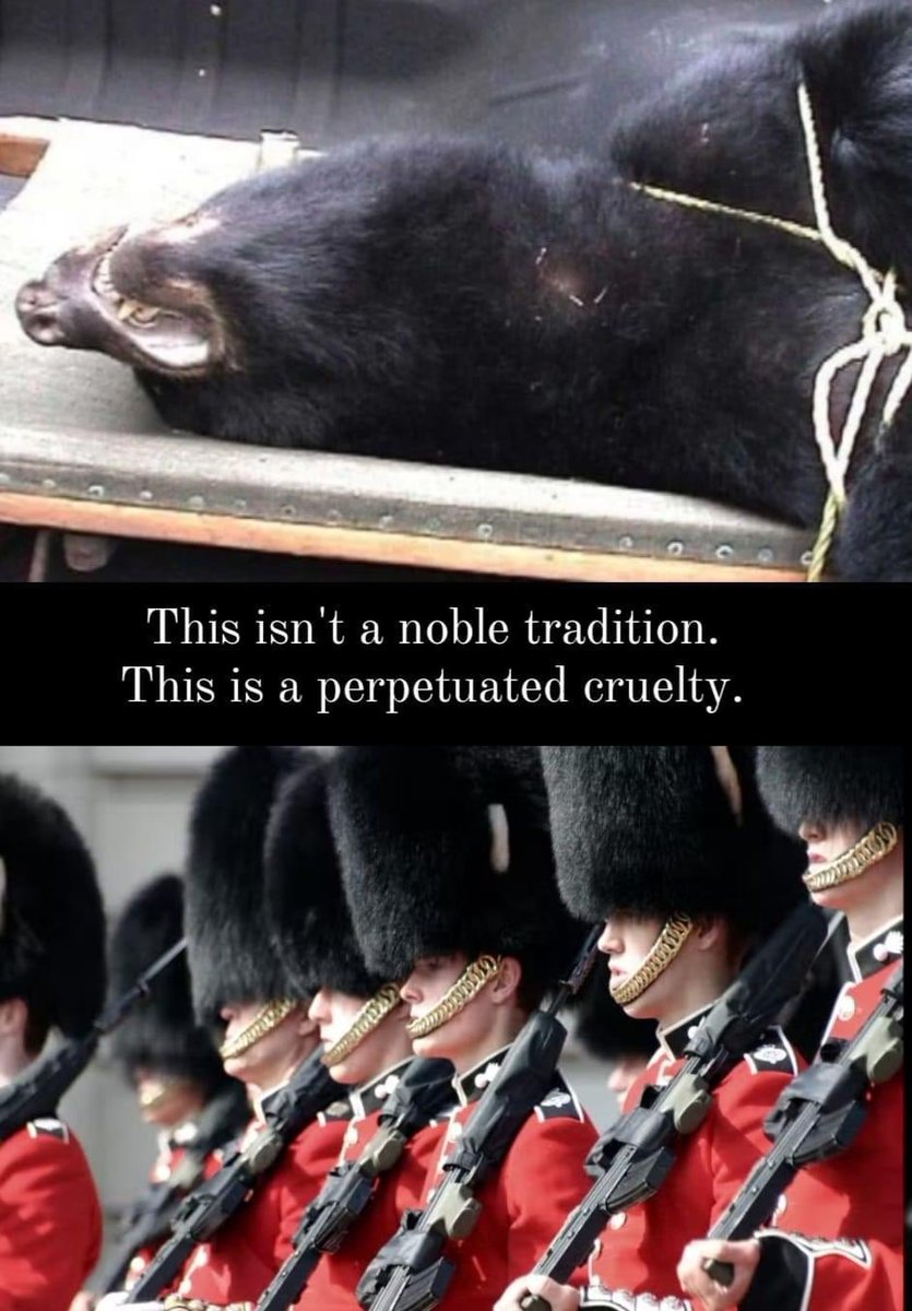 No pomp &amp; ceremony is worth the lives of hundreds of black bears. Time the Government &amp; Ministry of Defence went fur free