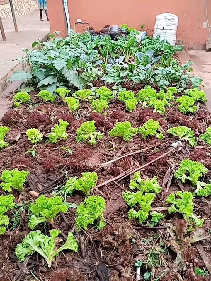 Project commenced