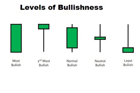 chartmojo's tweet photo. Advance Level Candlestick Learning! 

✅ Level of Bullishness 
✅ Level of Bearishness 
✅ Bullish Rejection Candles 
✅ Bearish Rejection Candles with examples! 

Start using this above mentioned learning in your trading to have more edge! 

#Stocks #trading #stockmarkets https://t.co/IRxHOqIkUF