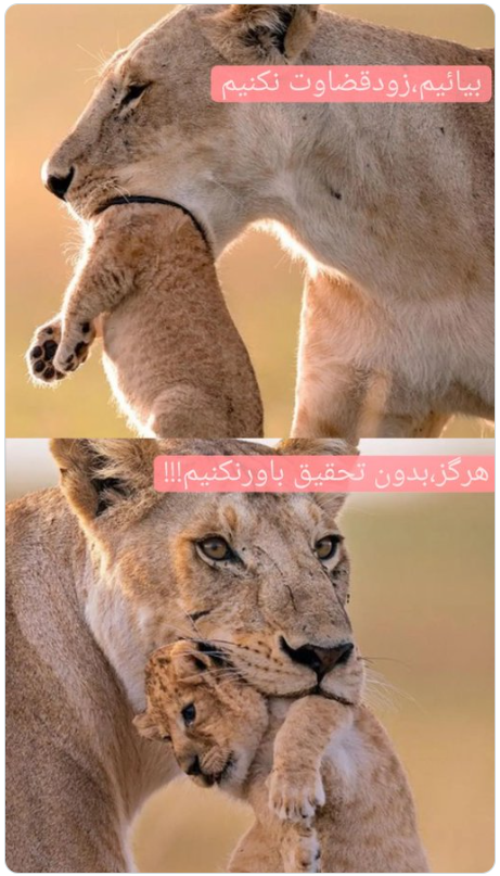 ali14375286's tweet photo. #بدون_تحقیق_قضاوت_نکنیم
#زود_قضاوت_نکنیم https://t.co/RUGcX14YVj