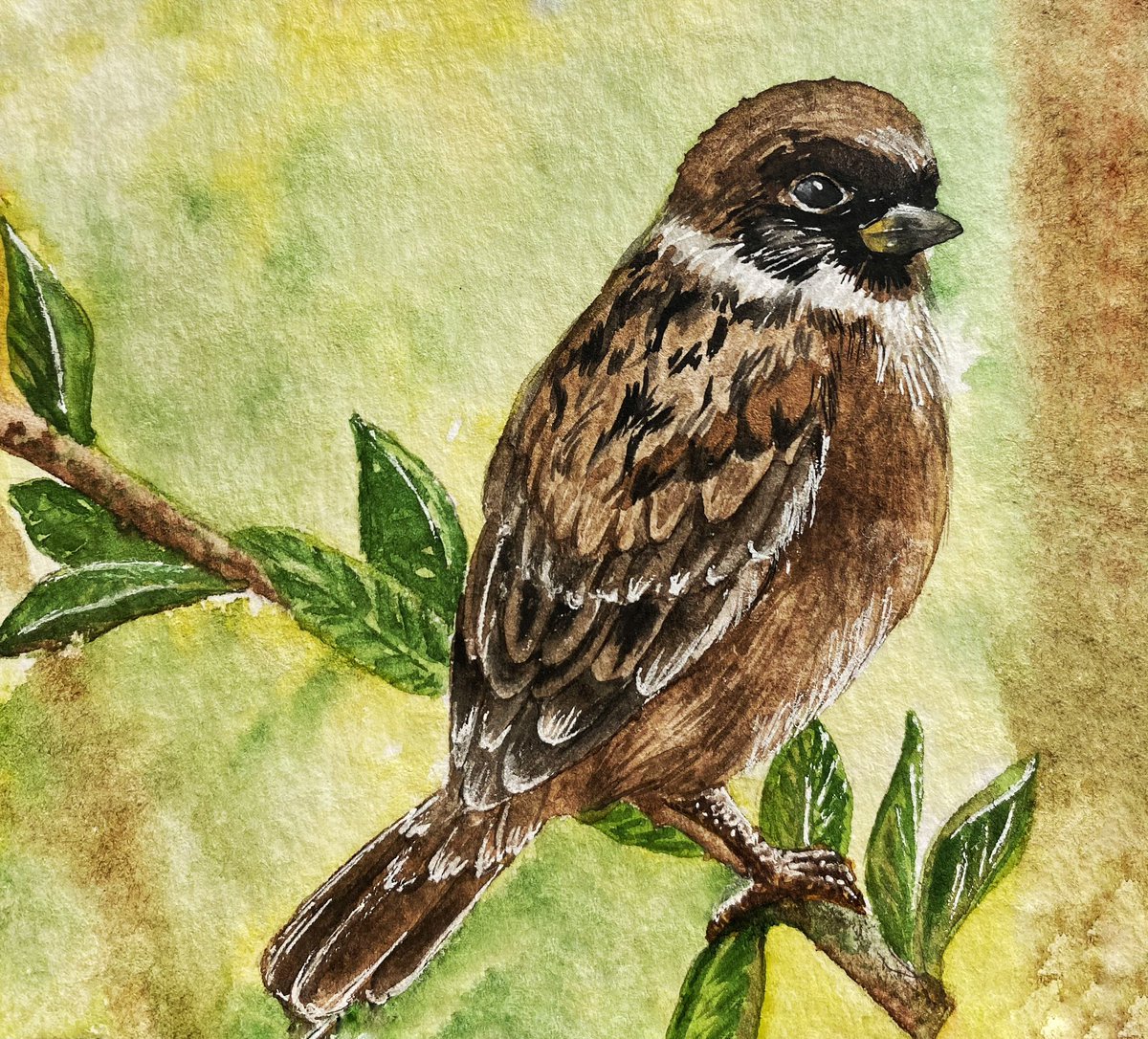 #bird #Watercolor