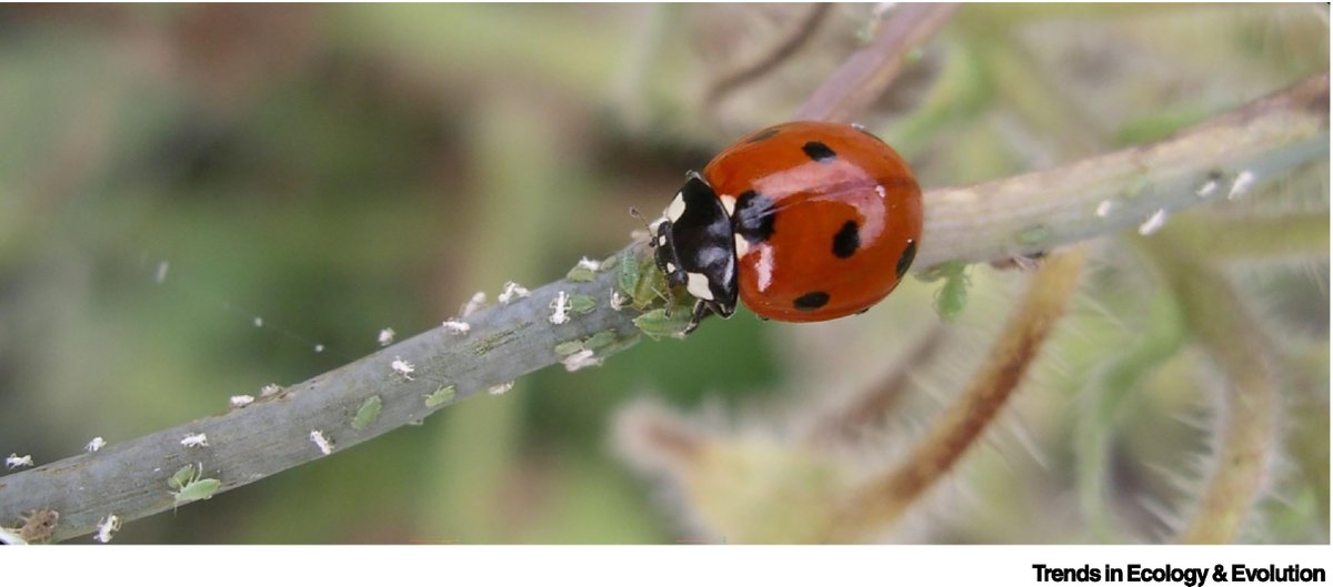 Manuela Casasoli tweet media
