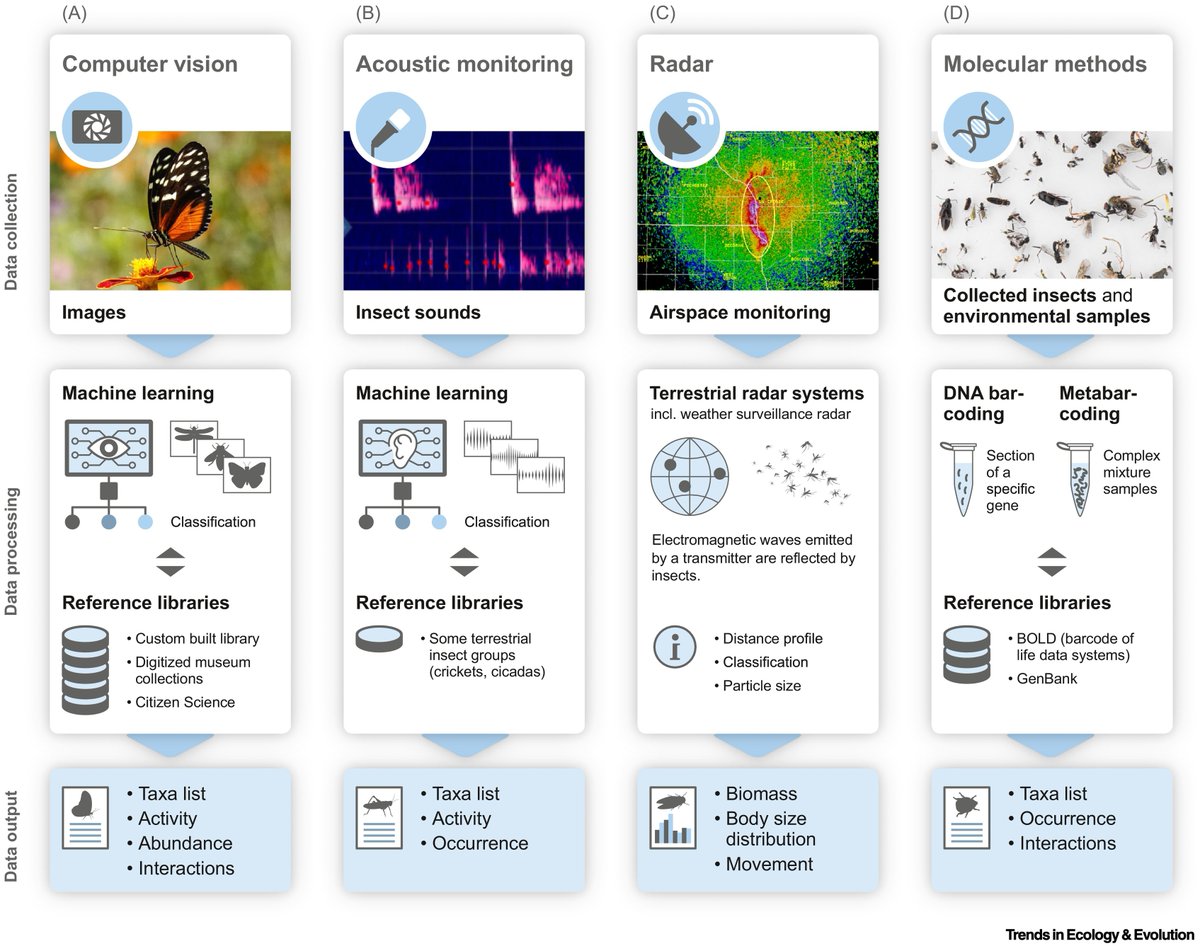 Manuela Casasoli tweet media