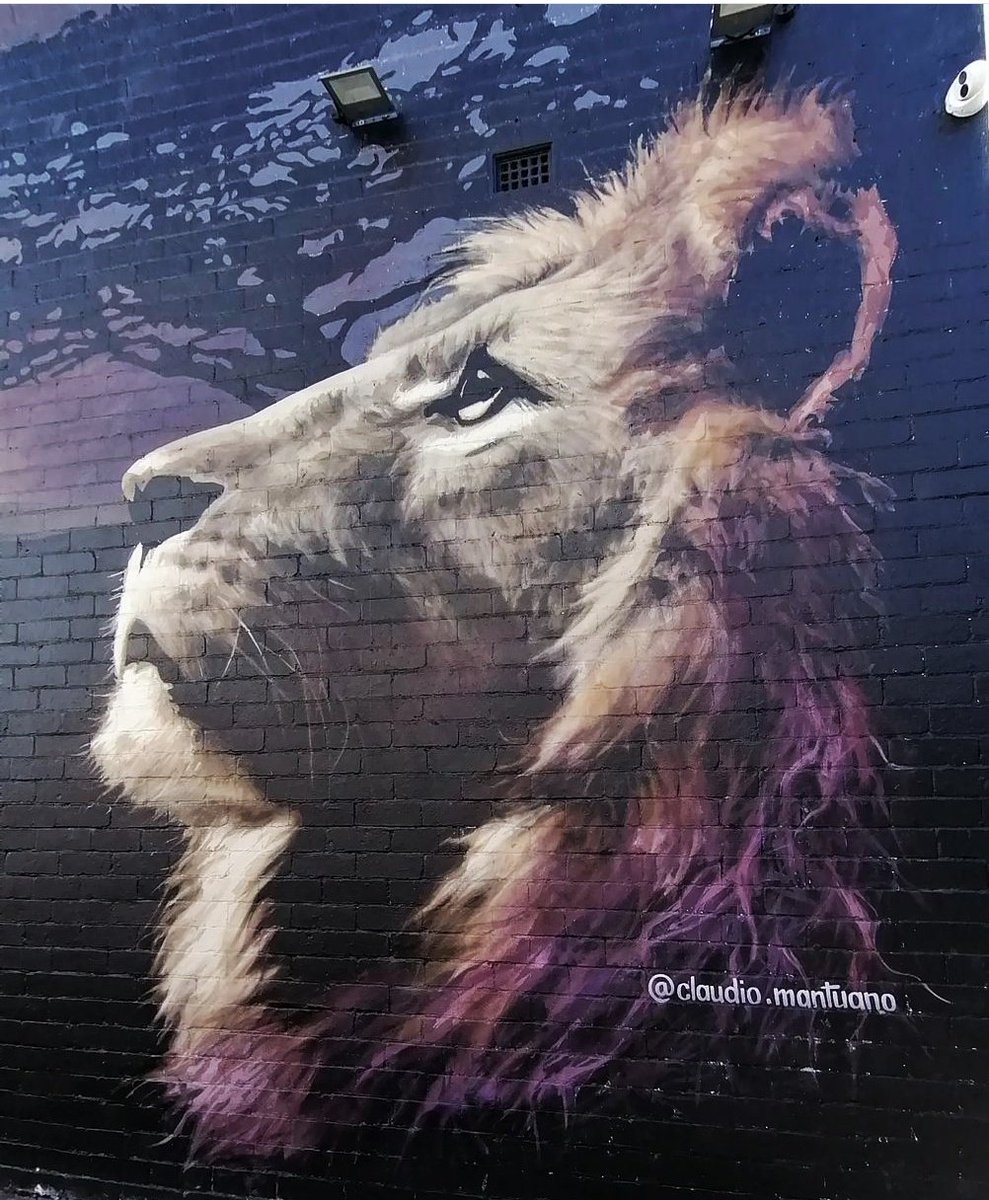 CapriceEnVie's tweet photo. Bonjour tout le monde ! #streetart https://t.co/DWlpvYQf38