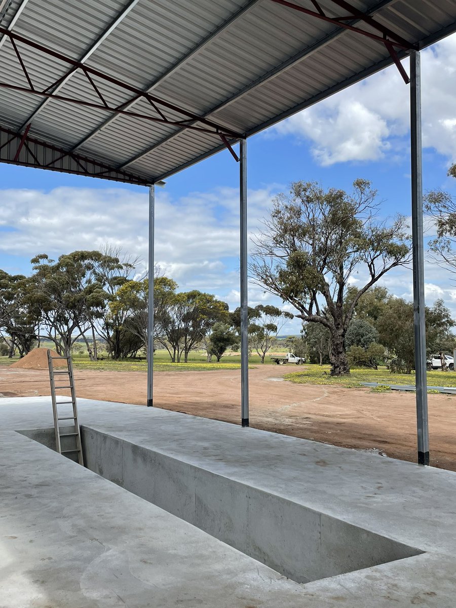 Kellie Bell tweet media