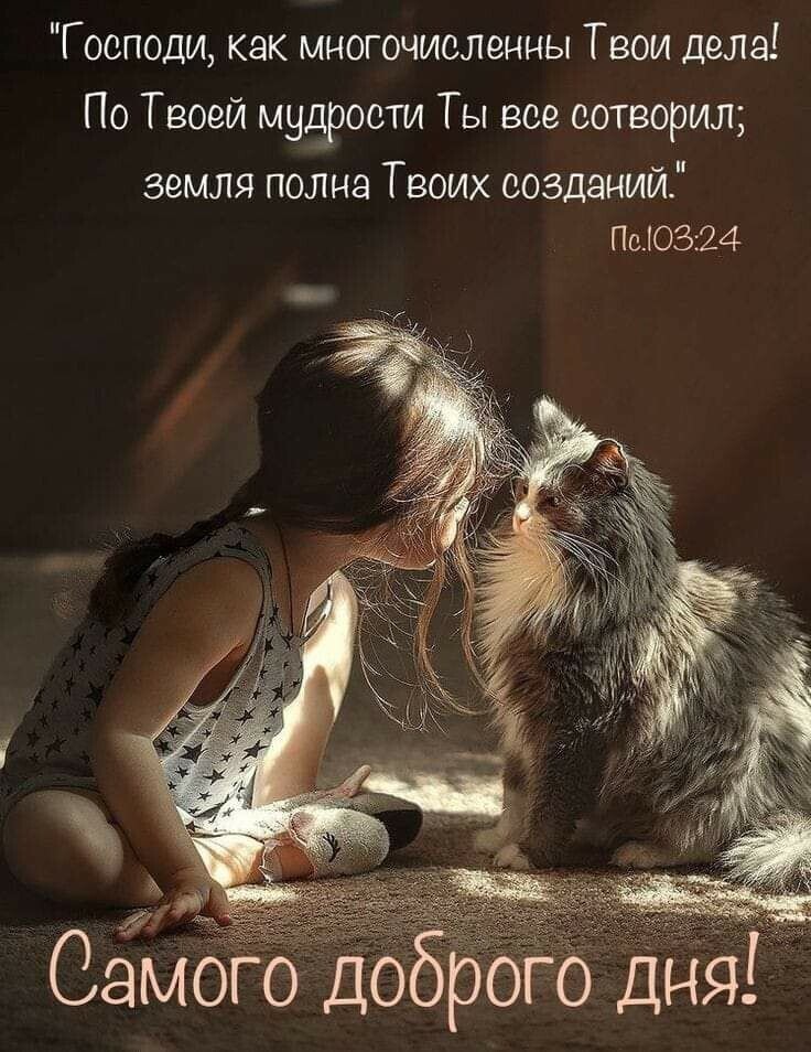 SofiPal2's tweet photo. Всех благ вам ! 💛💙🧡🤎💚 https://t.co/nz0dwkqhm6
