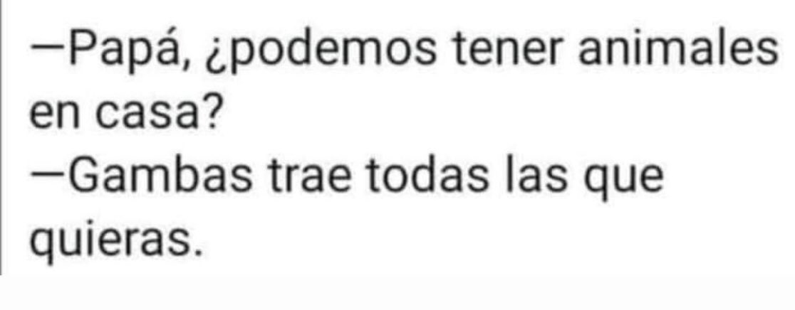 Martí Coma (@marticoma) on Twitter photo 