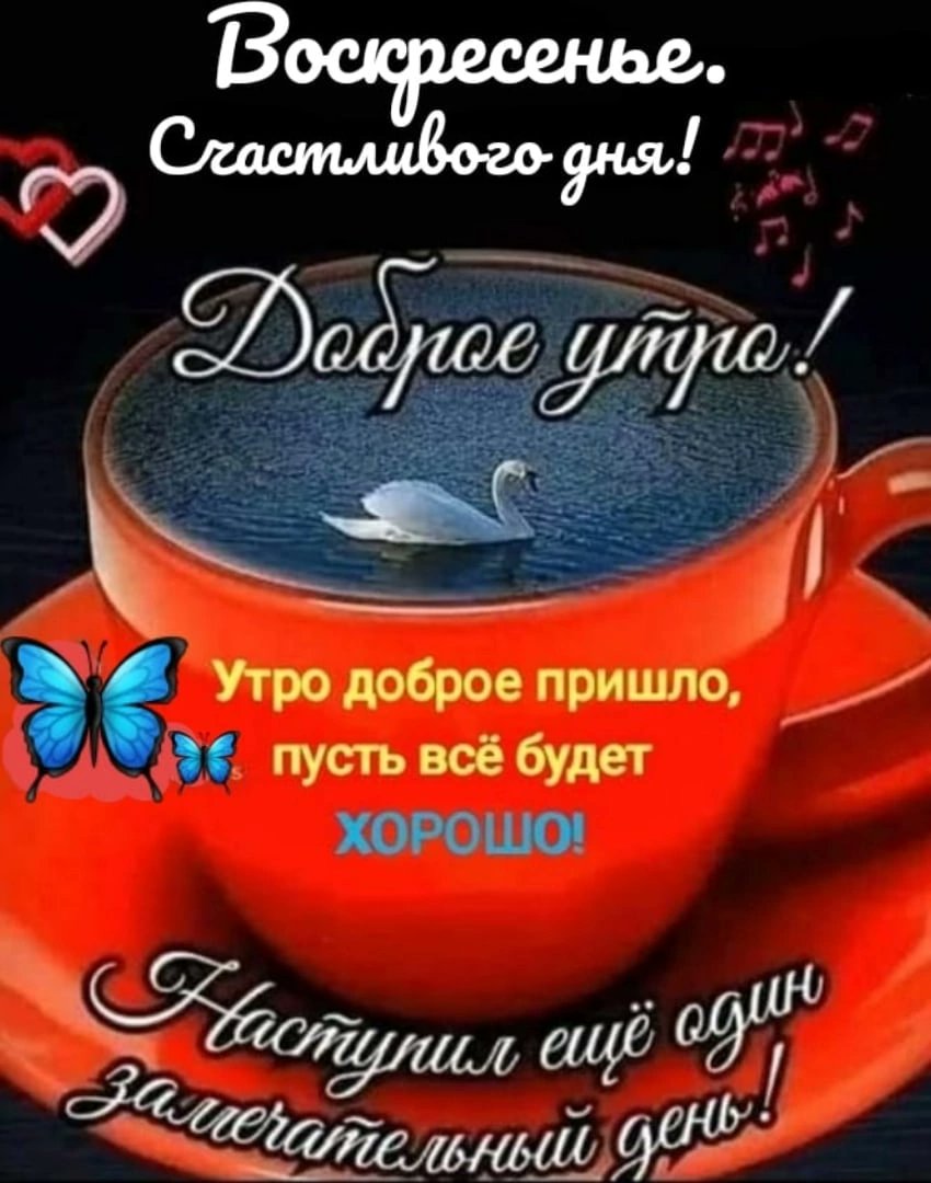 dmaralin's tweet photo. https://t.co/VO5oKUV31a