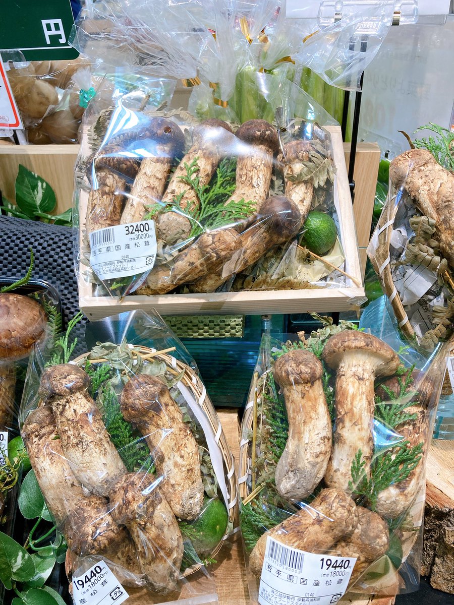 秋満載！「松茸」ご紹介🍁 岩手県産のツボミの状態の松茸は、木箱入で