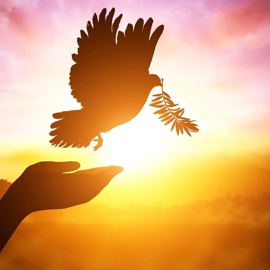 informpalace's tweet photo. Every year on September 21, the International Day of Peace (also known as World Peace Day) is observed with the goal of advancing the values of peace within and among all nations and peoples. The International Day of Peace serves as a motivating

https://t.co/NkGOJT9Wan https://t.co/lU0OLJklng