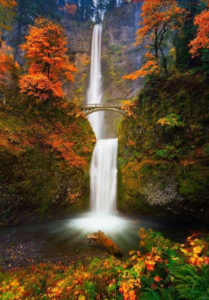 Good morning 🍁🍂🍁