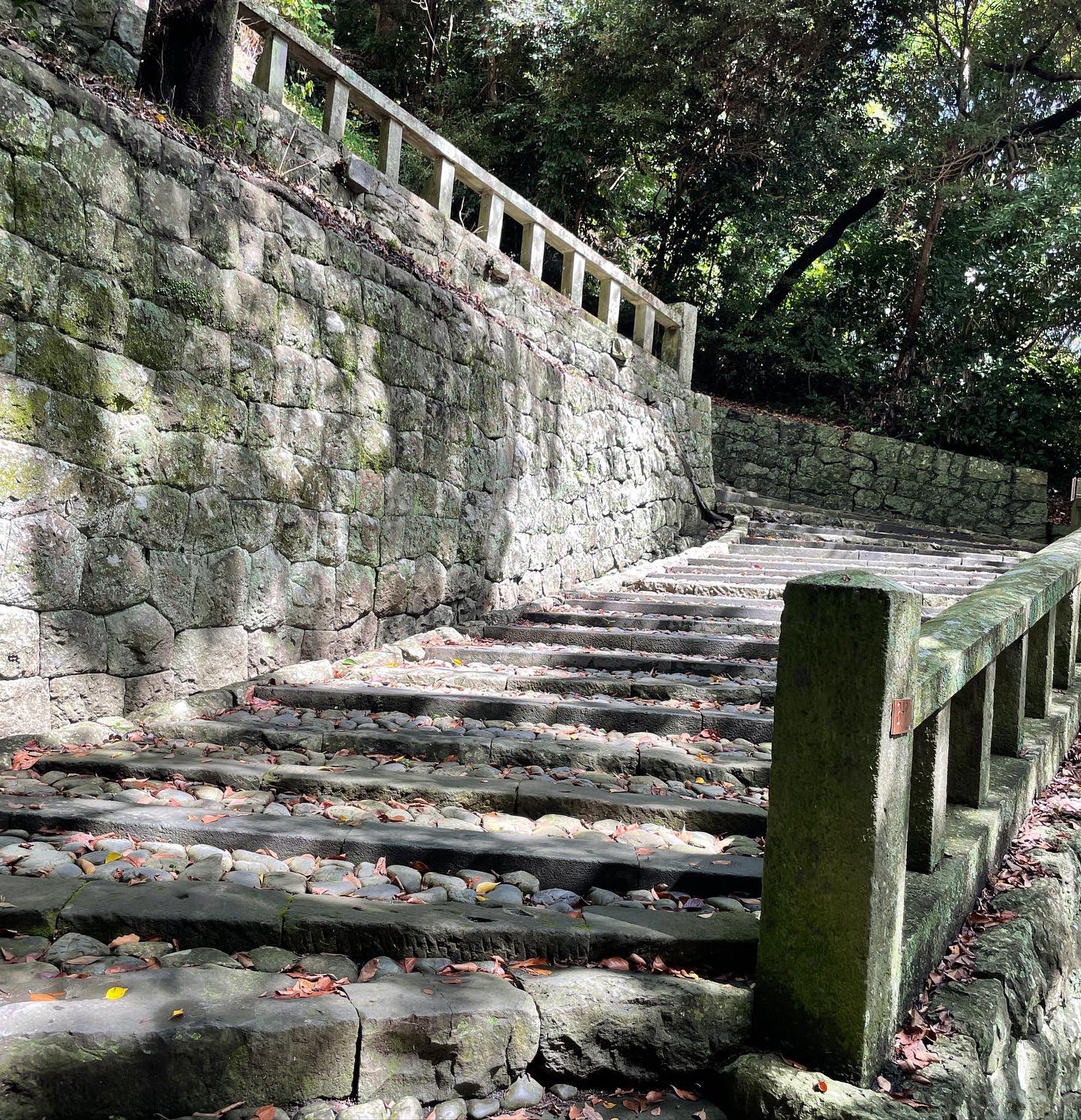 1 pic. 動画撮影失敗してましたので写真ですが石段をご覧ください。 https://t.co/qaSrFxruM4