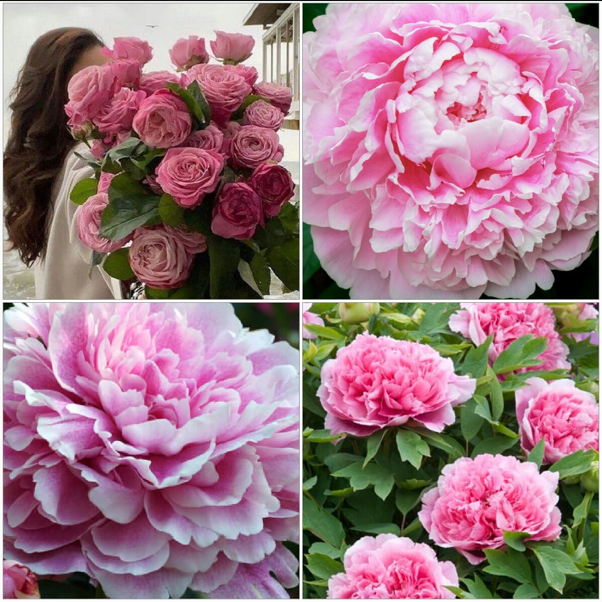 Einen schönen Sonntag⚘

Es wird immer Menschen geben, die dich zerstören wollen. Sie wollen dich demütigen und erzählen lügen.
Sie wollen von ihren eigenen Schwächen ablenken. Sie wollen dich einfach nur verletzen. Aber du bist stärker. Laß nicht zu, daß andere dich verletzen🌹