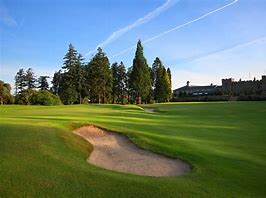 Golfers CBD tweet media