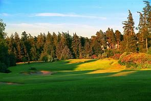 Golfers CBD tweet media
