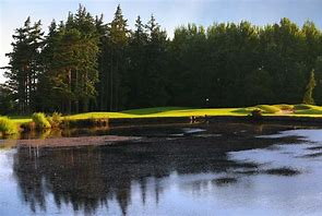 Golfers CBD tweet media