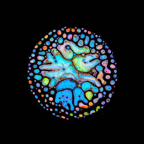 GM #NFTCommunity 

May your Sunday be as joy- and colorful as this little cell 💜