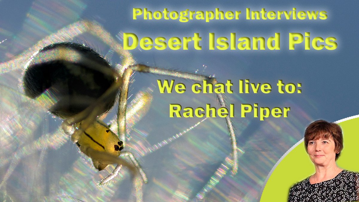 Please join us tonight as we chat live to award-winning photographer @rtpiper and share some of her amazing wildlife photography. Click the link to join the event as we go live just after 8pm tonight 18th Sept. youtu.be/Ed8nOGBUOtY @OMSYSTEMcameras @SwarovskiOptik @fstopHQ