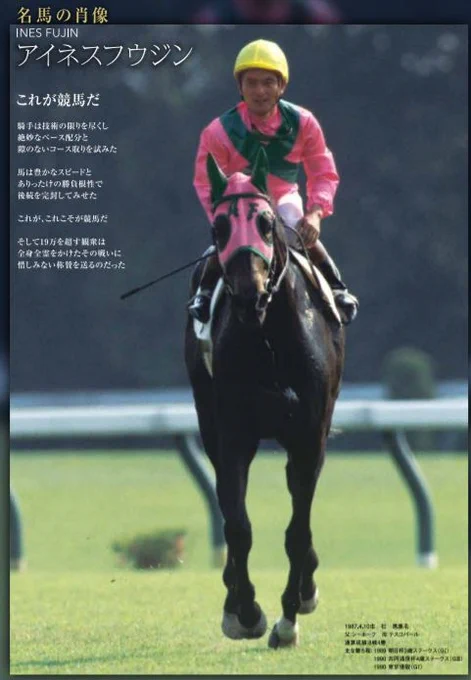 アイネスフウジンってメンコに「AF」って書いてあったのか 