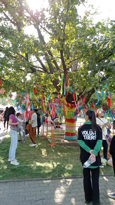 Alma fest 