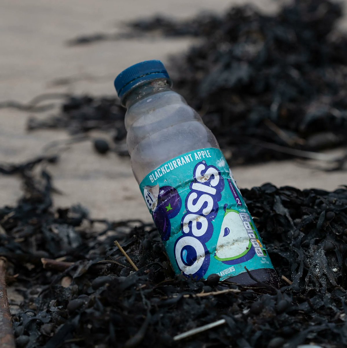 sascampaigns's tweet photo. 😰 38.5 million plastic bottles and 7 million disposable coffee cups will be bought in the UK today... 

Imagine the huge difference we'd be making if we stopped using them. ✊ 

Read all about the single use plastic's worst offenders: https://t.co/HbsMLPMycm

📸: Lewis Arnold https://t.co/4iZMkRiljx