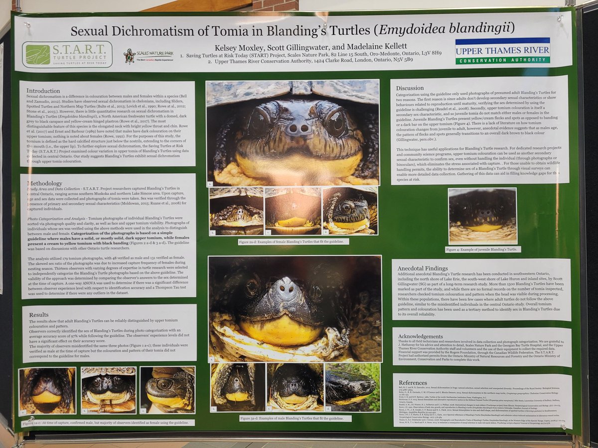 Fun #CommunityScience quiz I did! You can have fun too, while contributing to #conservation, by adding male/female annotations to <a href="/inaturalist/">iNaturalist</a> records. Thanks for the recommendation at our #CHS_SHC2022 workshop James Pagé!