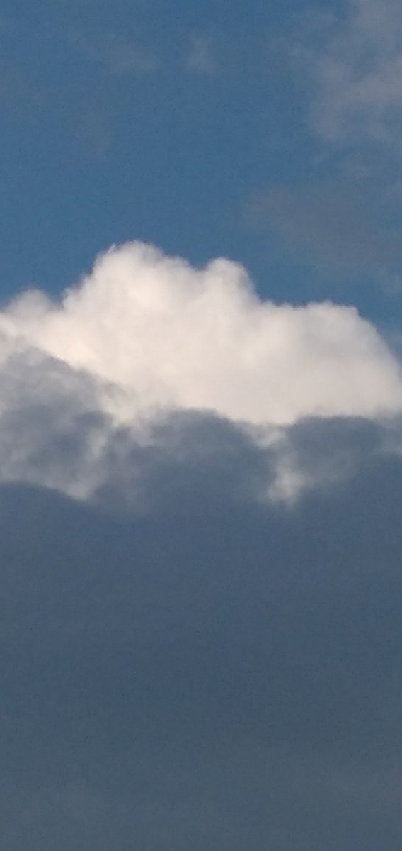 Satya pal student of Law (@satya08631805) on Twitter photo 