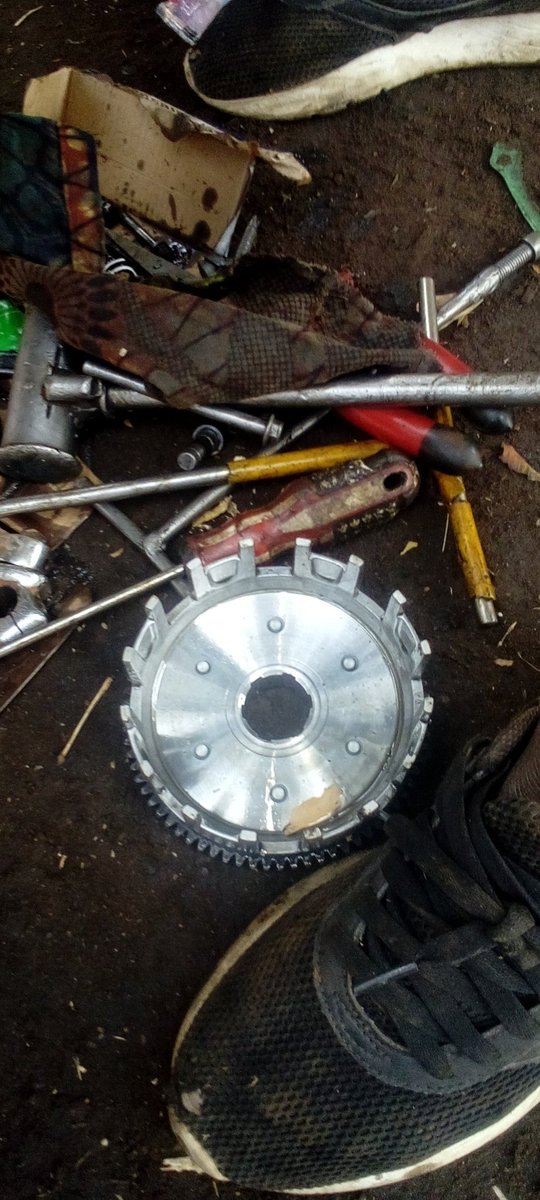 bubusha13's tweet image. #NewProfilePic