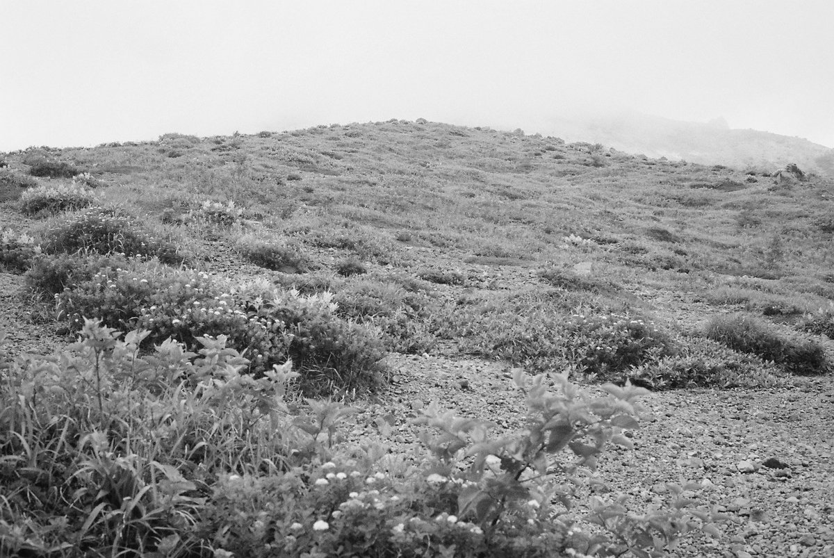 re_tssh's tweet photo. Mt.Cyausu··· https://t.co/UfaE1pwIpW