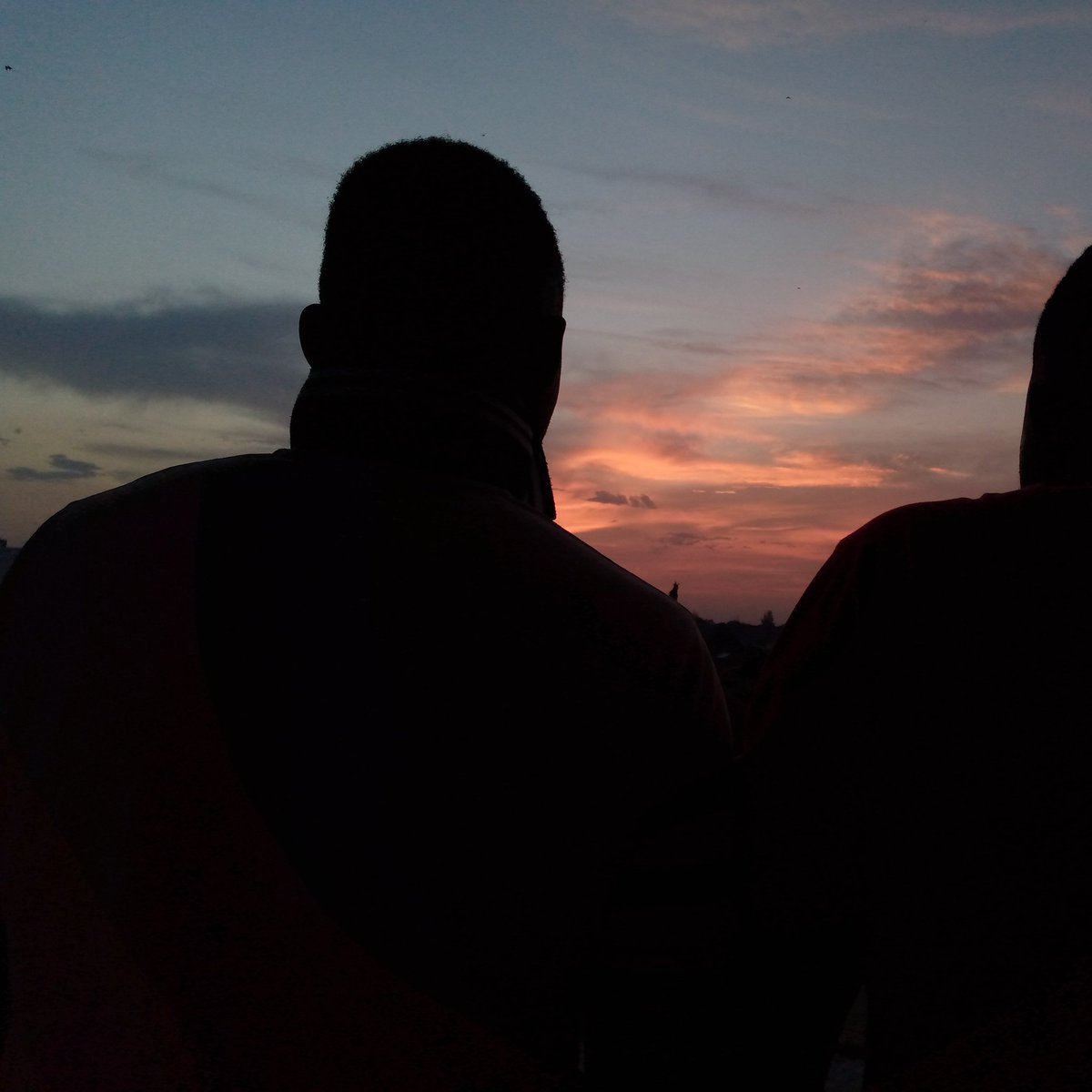 pstwise's tweet image. #NewProfilePic