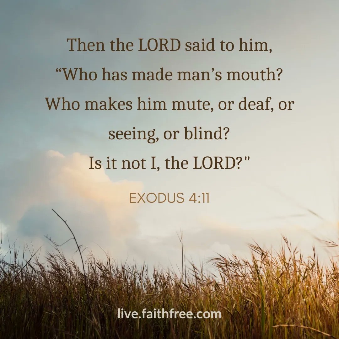 FaithFreeChurch's tweet photo. It’s the Lord’s Day, and we have the privilege of gathering together with the family at Faith to worship our great God together. We look forward to having you join us!

#matthew #followingtheking #light #blindness #oncewasblind #jesus #yahweh #God #lifeatfaith https://t.co/97NS6lb8TO