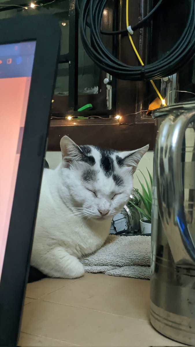 GM GM! Happy Sunday folks! 😴😴