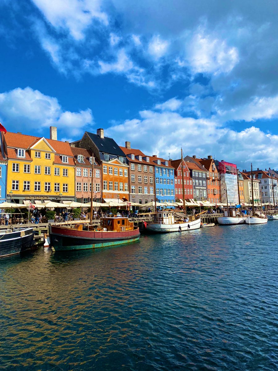 Lisa Ivatt tweet media