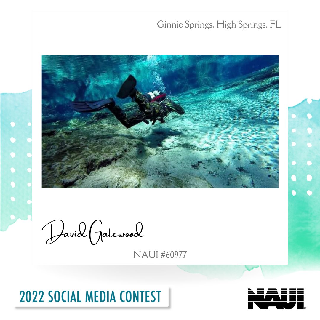 NAUIWorldwide's tweet photo. How To Vote: Like, Comment &amp; Share

Full Contest Blog: https://t.co/AKwdFWJ2jg https://t.co/bEgXGwh4LI
