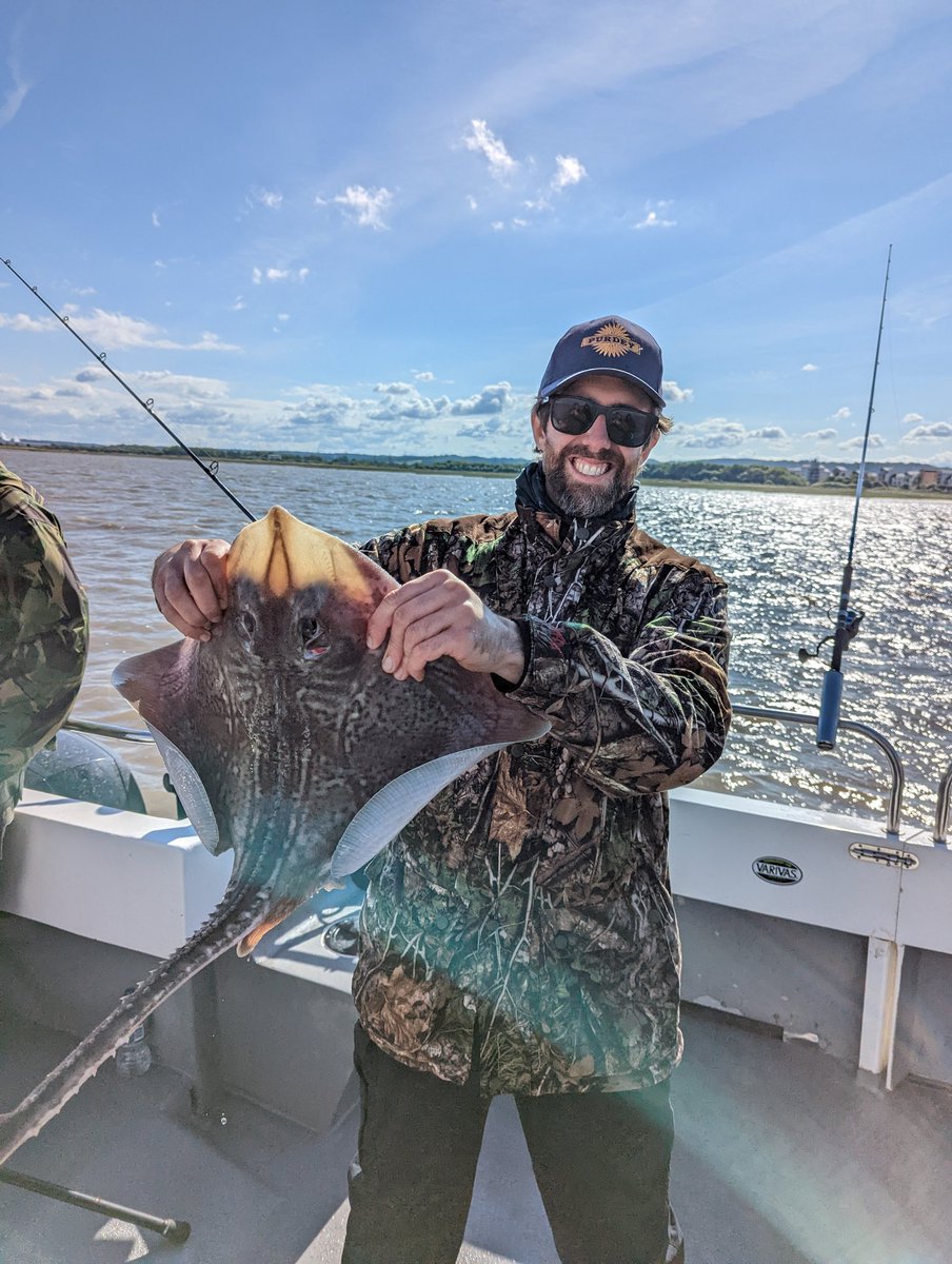 Liam Stokes tweet media