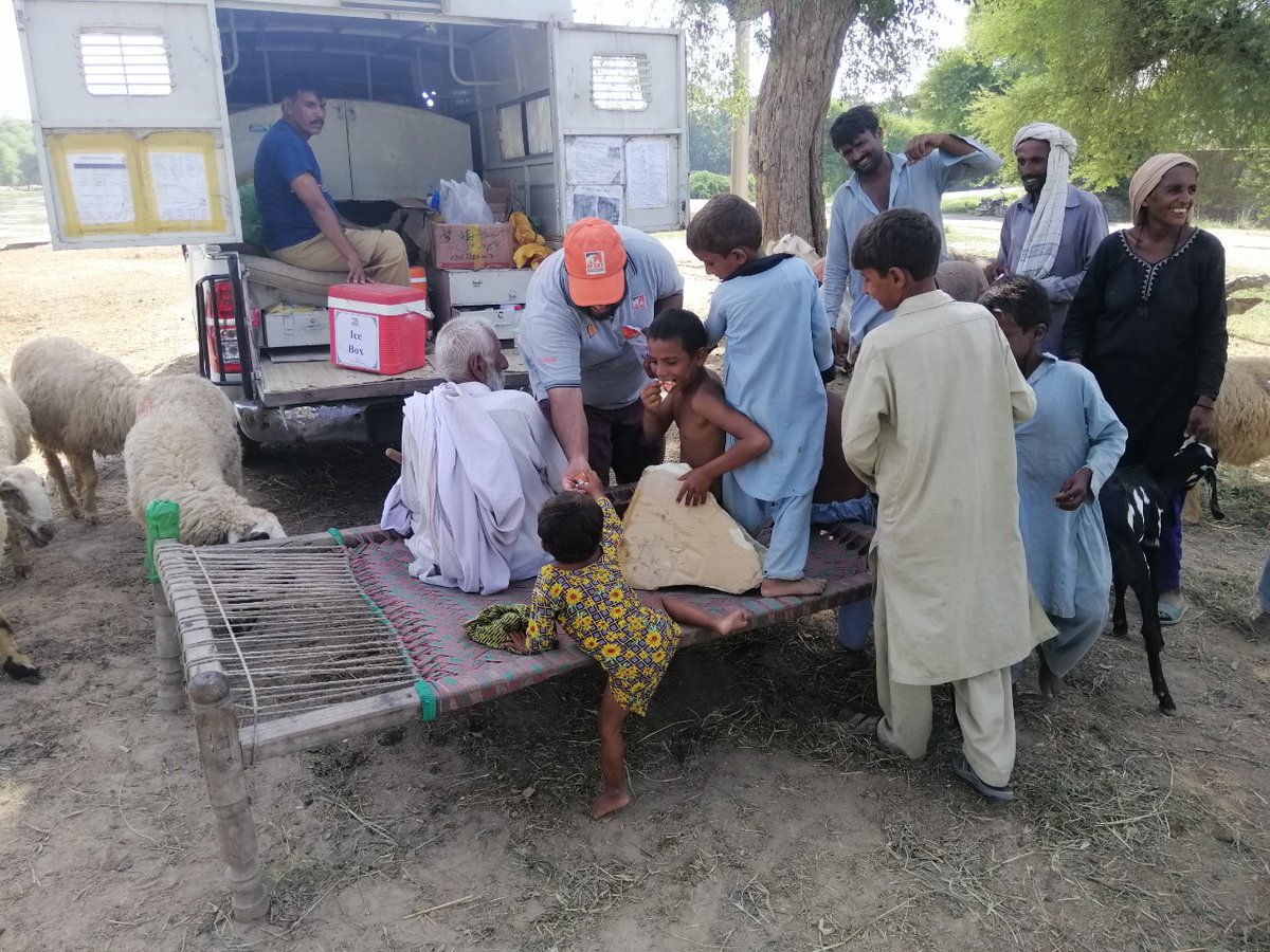 BrookePakistan's tweet photo. It's not only #equine who benefits from #BrookePakistan services; we are also reaching out and helping other animals and their owner through #firstaid, #food, and #fodder.
Brooke Pakistan Vet. Dr Omer helping out flood affected in #RahimYarKhan
#FloodsInPakistan
#helpingall https://t.co/zry9ULv5Bv