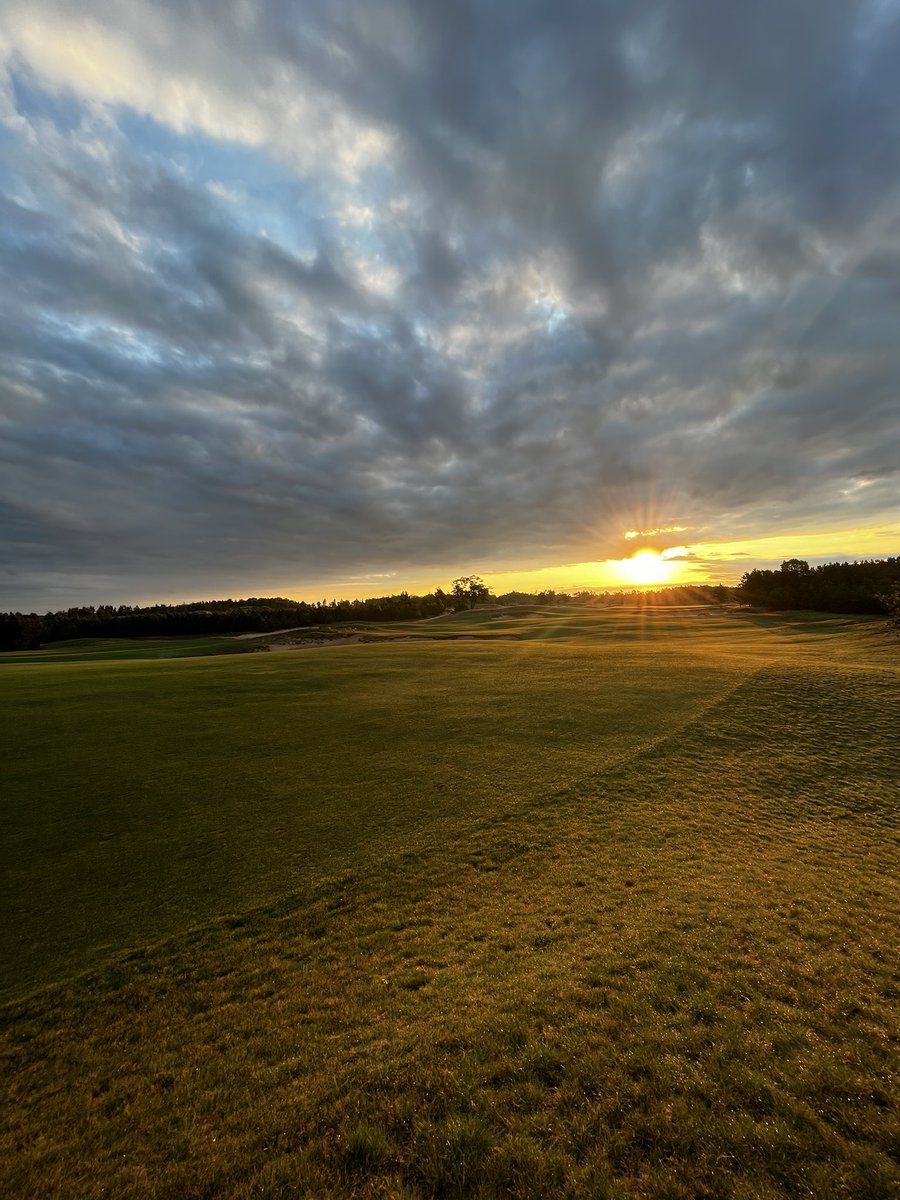 Tristan Wood tweet media