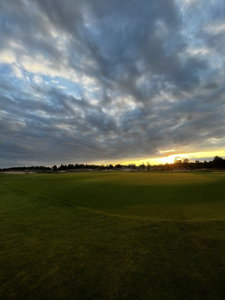 Tristan Wood tweet media