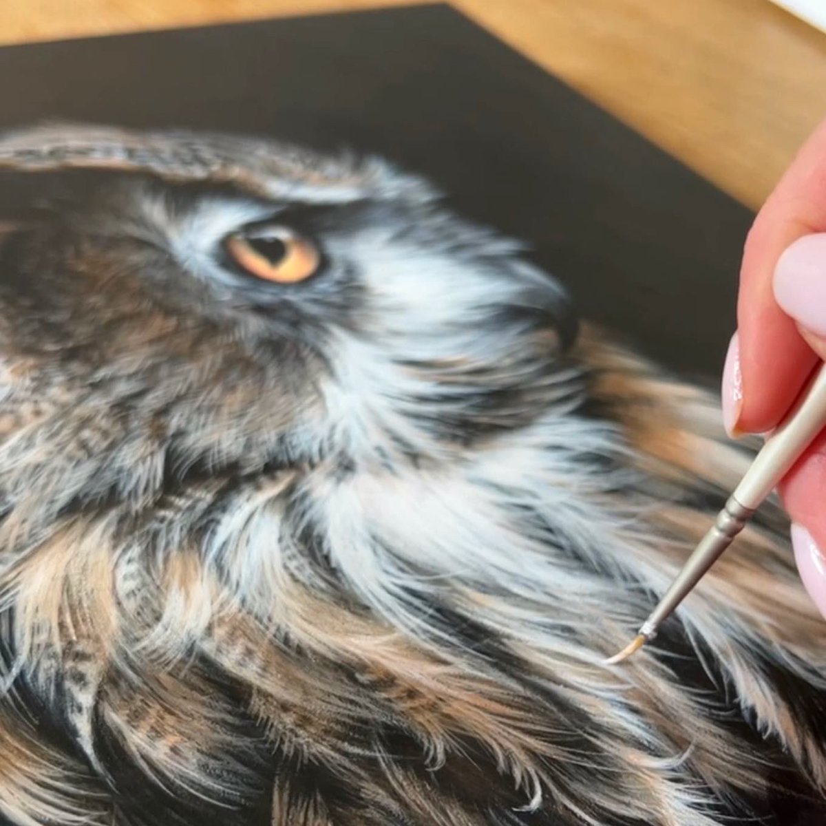 ‘Merlin’
11x14”
Acrylic on wood panel

The original is now available on my website:

mrsjoycedraws.co.uk/shop/p/merlin-…

#owl #eagleowl #owlpainting #artist