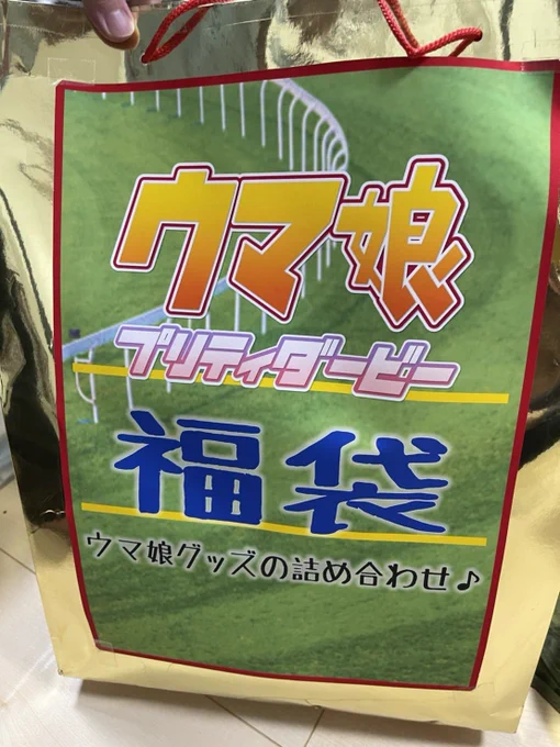 ゲーセンで取ったウマ娘の福袋開けるぞ!うおおおおぉ!ゴルシ!テイオー!スズカ!…あれ? 