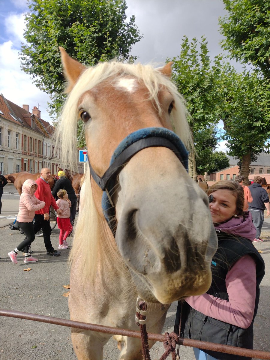 AireNouvelle1's tweet photo. CATACLOP !
Au petit trot ce matin, #AireNouvelle est allée à la présentation de chevaux à #Airesurlalys 
L'occasion pour #DidierRys accompagné de Daniel Danel, #FredericDubuisson et de Marie et Philippe Démaret  d'assister à un spectacle toujours aussi impressionnant ! https://t.co/g5yXWs1qVv
