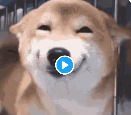 stackg_tm's tweet image. 