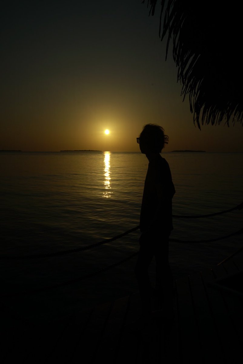 Nicola Gaughan LRPS tweet media