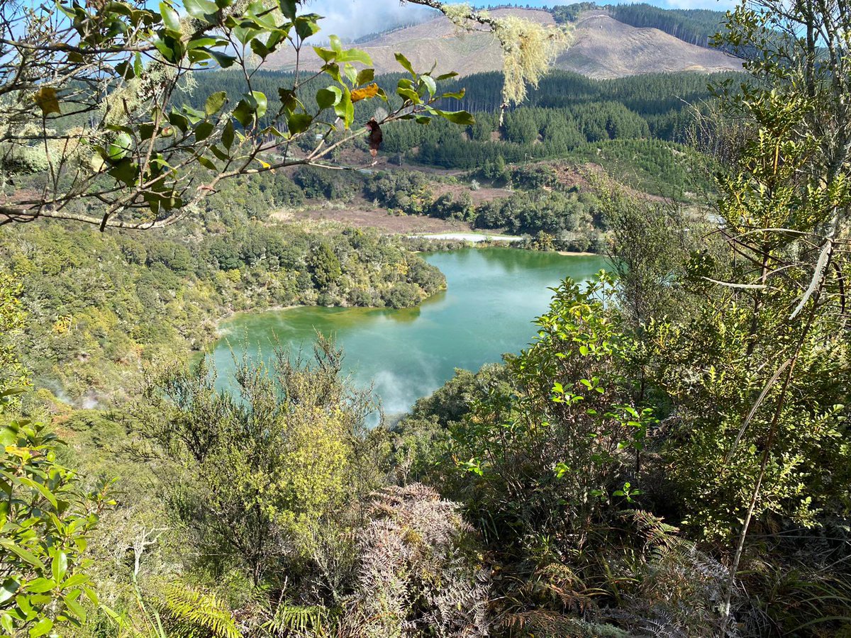 BecominganOT's tweet photo. Operation ‘move to New Zealand’ complete. 
Start my Occupational Therapist role on mental health ward next week.
 🙌😱🥹🤯🥰😳😀🤩🫠<—- just a brief emoji summary of all my emotions 💚 https://t.co/spuZmxqee5