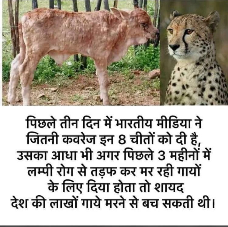 Pradip Chaudhary tweet media