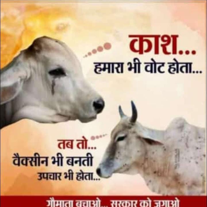 SACHINY57593685's tweet photo. #NewProfilePic https://t.co/SJTpXTRRpY