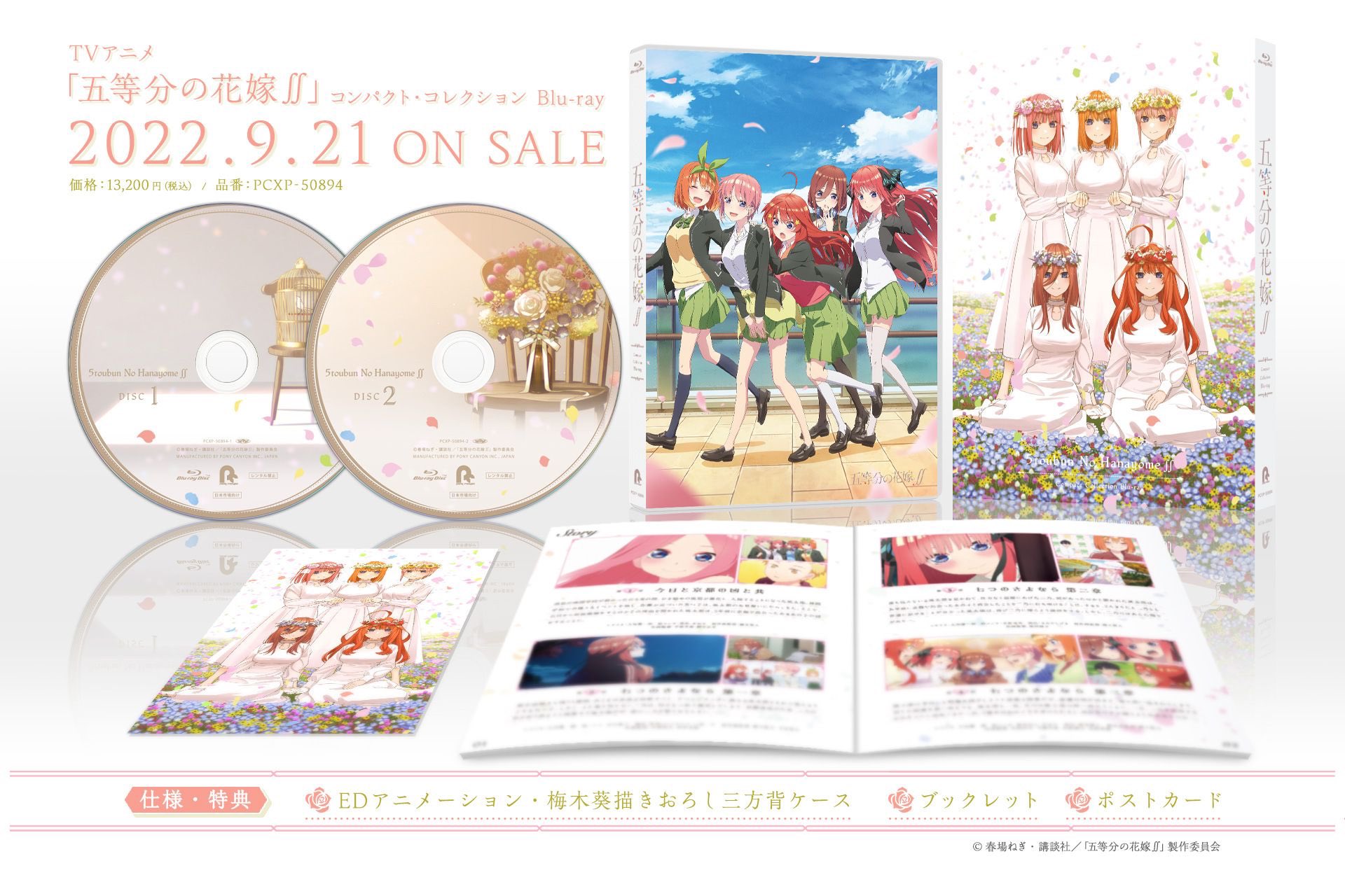 Amazon.co.jp: 映画 五等分の花嫁 アフレコ台本 2点セット