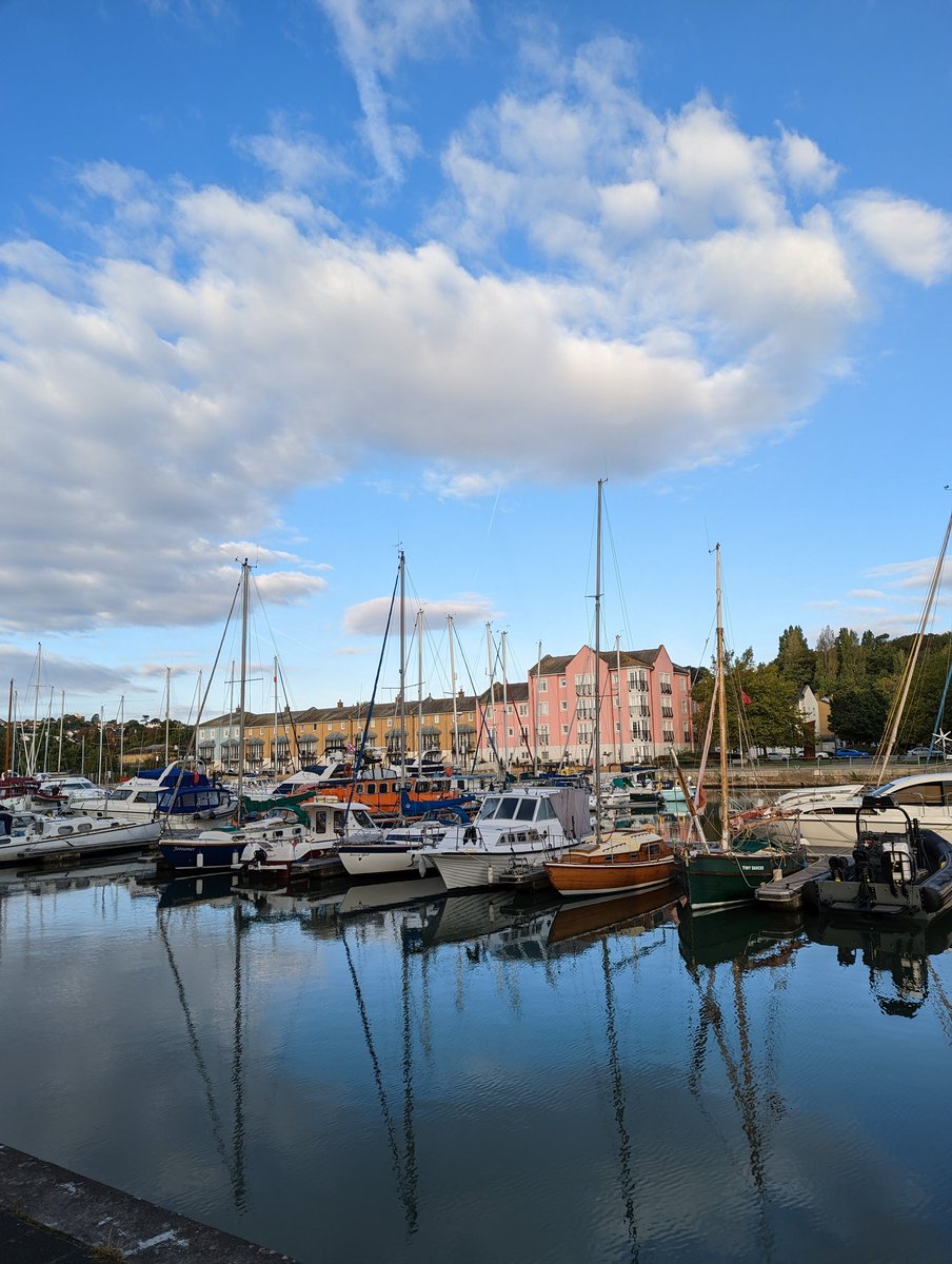 Liam Stokes tweet media