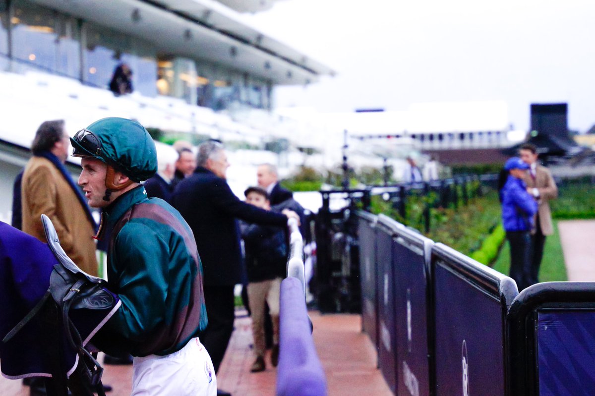 Josh Parr was too quick for our cameras after the last, he had a plane to catch! One ride for one win at Flemington before jetting home ✈️ @JoshuaParr8